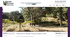Desktop Screenshot of hillsidevineyard.com